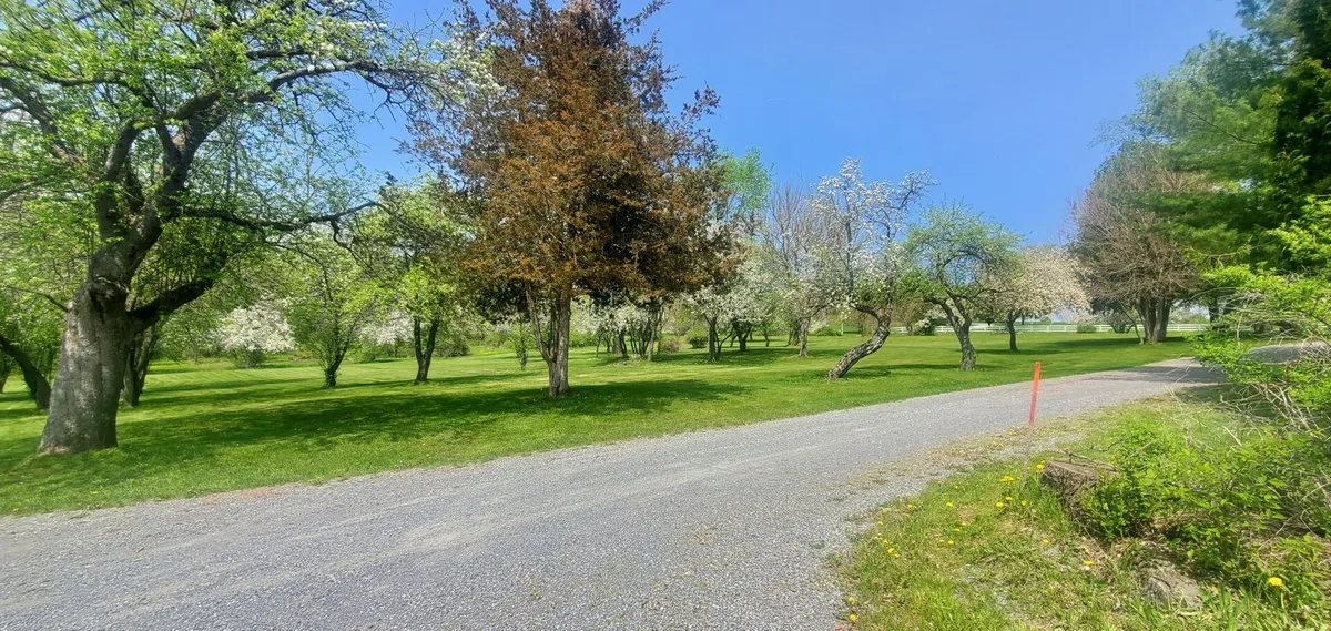 A peaceful outdoor space with lush green and flowering trees lining a gravel road, perfect for strolling or picnics. The natural setting highlights the appeal of the surrounding Brandon countryside and provides an inviting environment for outdoor art, music, or community events.
